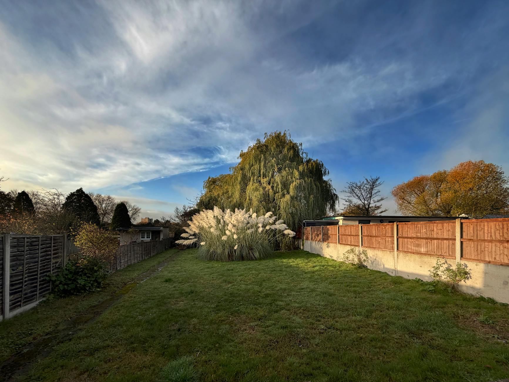 Nowoczesny ogród z trawami ozdobnymi na tle barwnego nieba