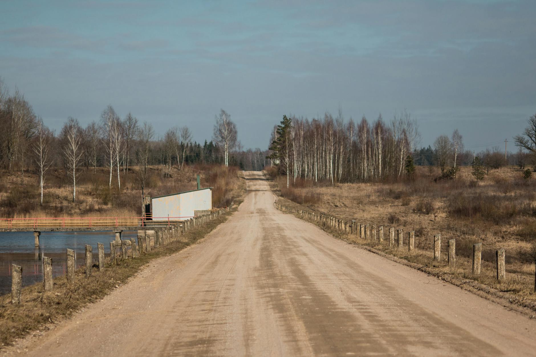 Polna droga zimą prowadząca przez odludne pola i rzadkie drzewa