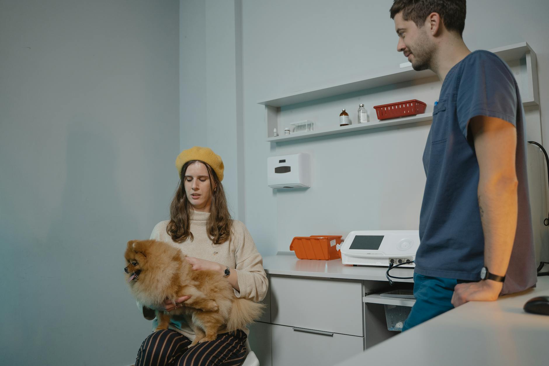 Kobieta z psem rasy pomeranian podczas badania u weterynarza